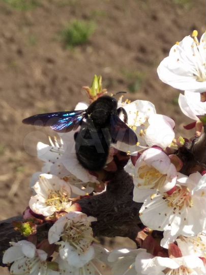 Дом 60 м² на участке 15 сот.