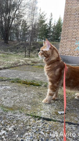 Мейкун вязка