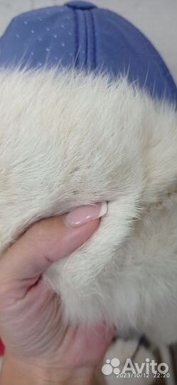 Шапка- ушанка детская с мехом кролика