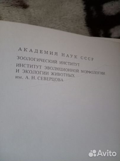 Старые книги