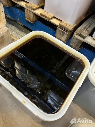 Мёд свежий гречишный опт