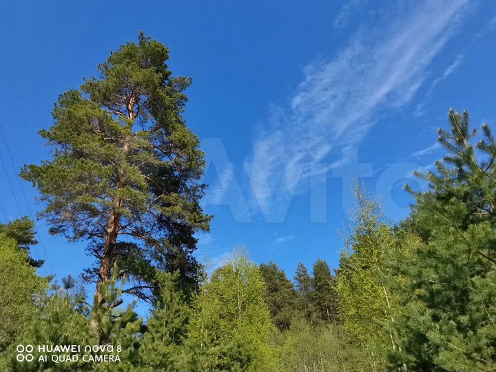 Участок 15 сот. (ИЖС)