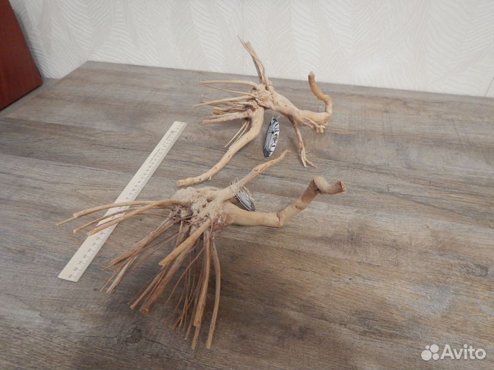 Коряжки для террариума или аквариума