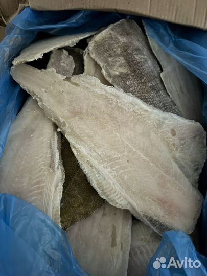 Филе Палтуса