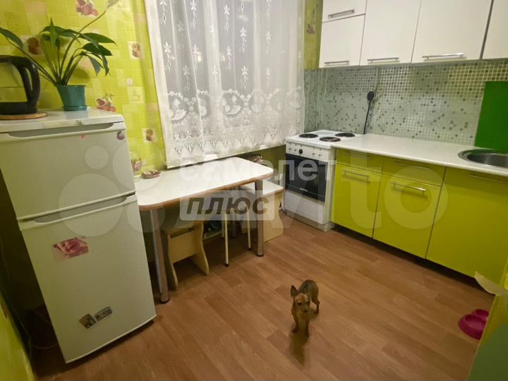 2-к. квартира, 42,2 м², 2/3 эт.