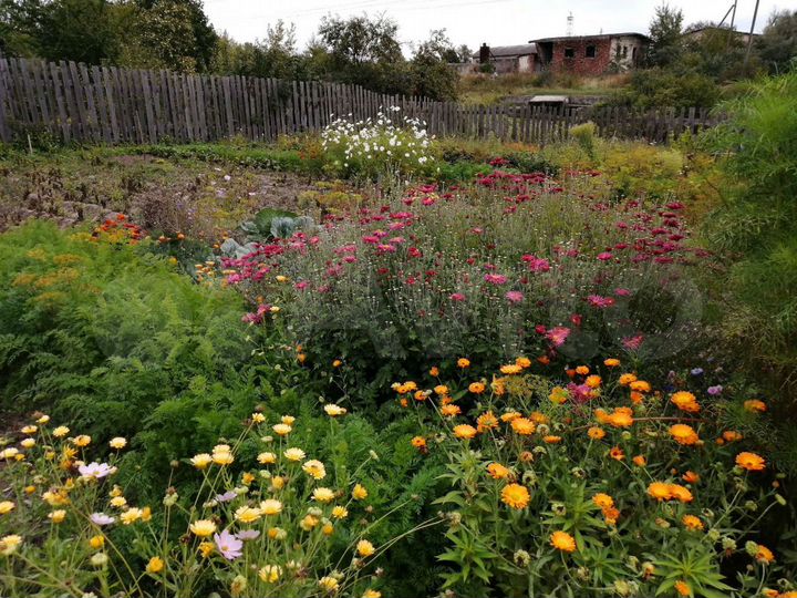 Участок 4,5 сот. (СНТ, ДНП)