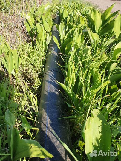 Замена труб систем водоснабжения СНТ на трубы пнд