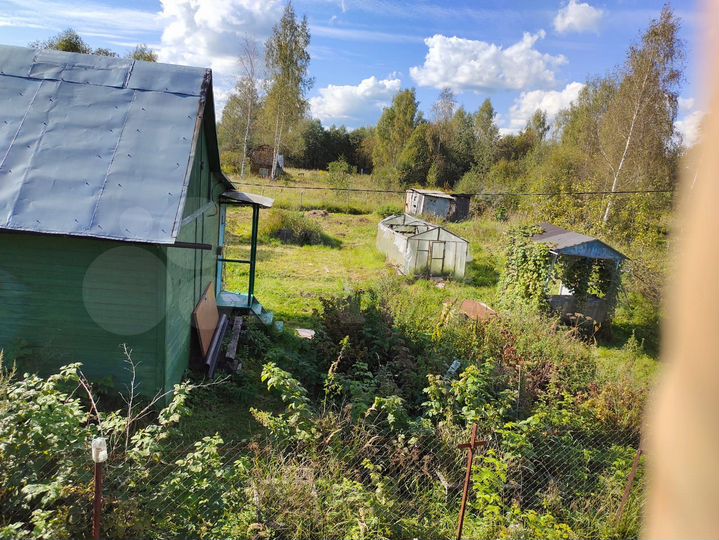 Участок 10,9 сот. (СНТ, ДНП)