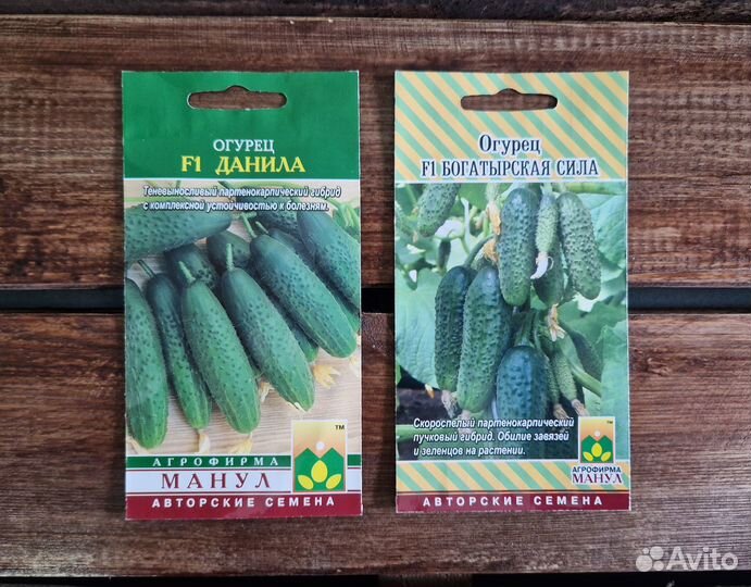 Семена огурцов Манул