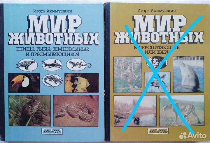 Бионаучпоп: Акимушкин, Докинз. Учебники Экология