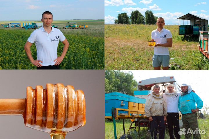 Мёд оптом от 1 кг - 5 сортов со своей пасеки. Подо