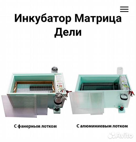 Инкубатор