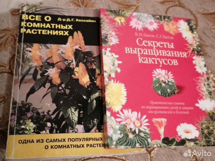 Секреты выращивания кактусов