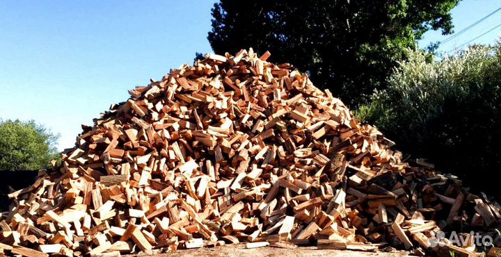 Дрова с Приозерска