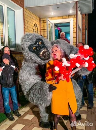 Поздравление от Гориллы, серая Горилла, Кинконг