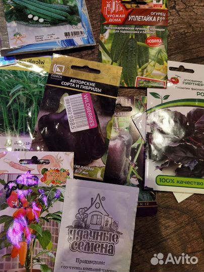 Семена из Таиланда