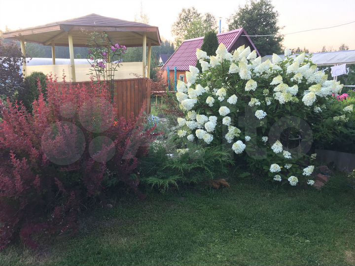 Дача 55 м² на участке 7,8 сот.