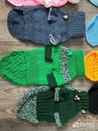 Одежда для животных