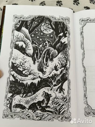 Коты Воители- Эрин Хантер