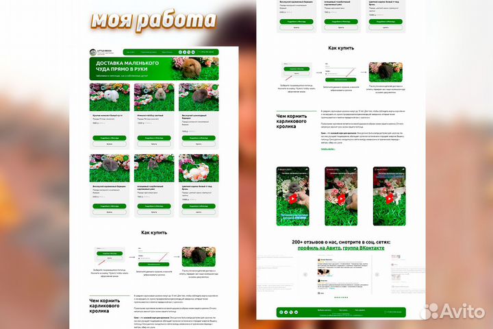 Создание сайтов. Реклама и продвижение