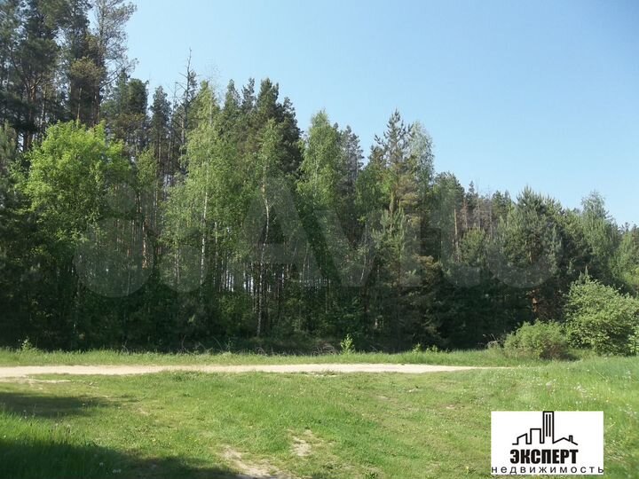 Дом 50 м² на участке 29 сот.