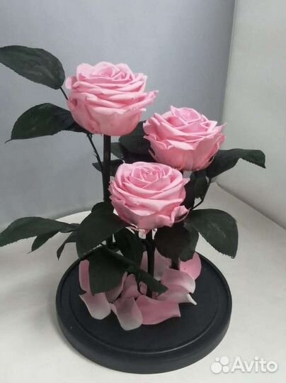 Роза в колбе