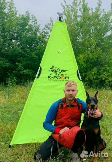 Дрессировка собак