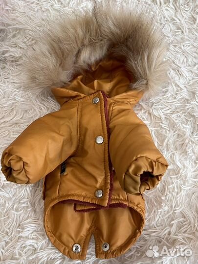 Одежда на собаку