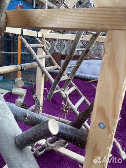 Стенд для птиц, игрушки для птиц