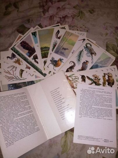 Открытки СССР