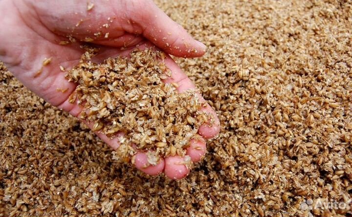 Пивная дробина