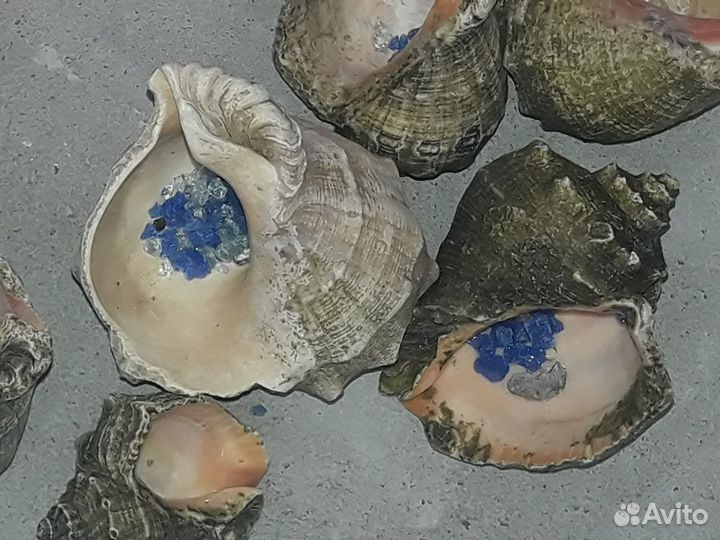Для аквариума