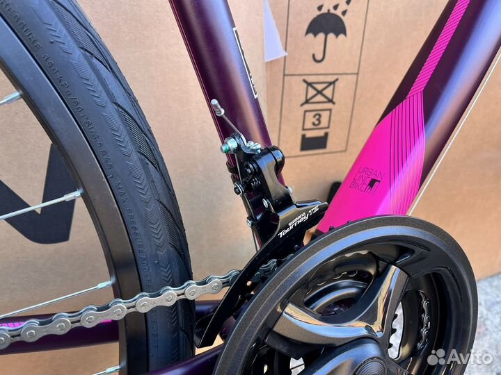 Новый Stern Urban Lady