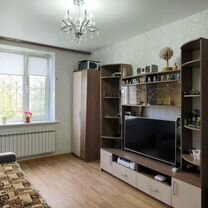 2-к. квартира, 46,7 м², 1/2 эт.