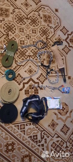 Поводок,строгие ошейники,штырь для привязывания