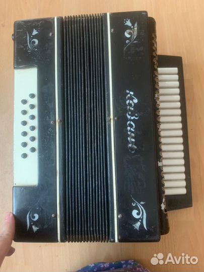 Казань гармонь