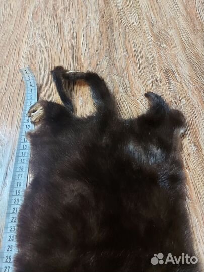 Шкурка животного