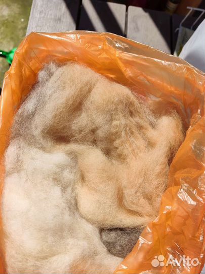 Собачья шерсть пух бронь за Ольгой до 20.08