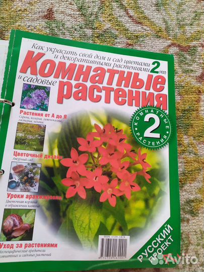 Комнатные растения