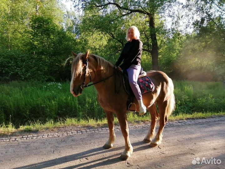 Прогулка верхом по парку