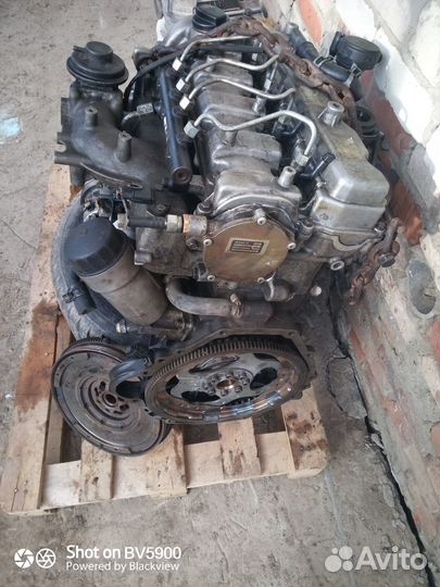 Двигатель Д20 дт