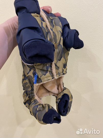 Одежда для маленьких собак