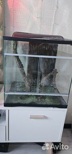 Террариум для рептилий бу