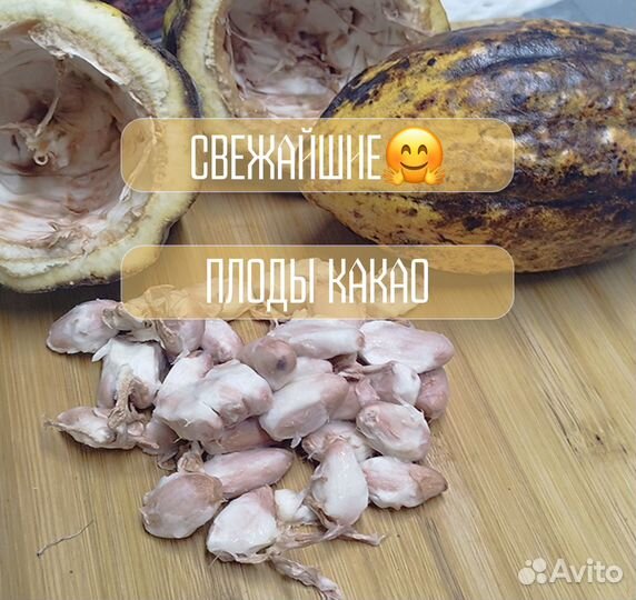 Экзотические фрукты