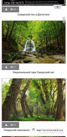 Самурский лес,Ахты, шалбуздаг,хучни водапад