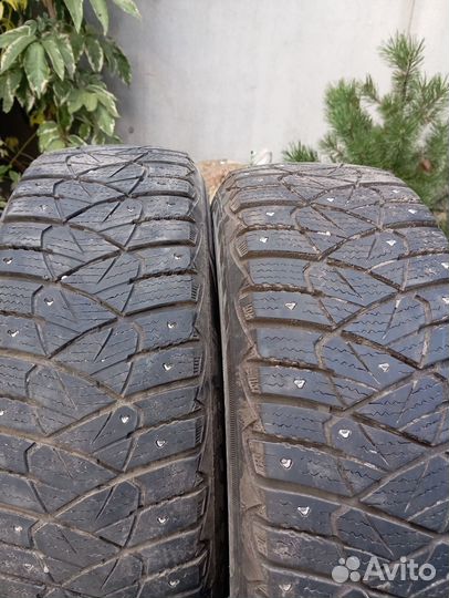 Dunlop Ice Touch 185/65 R15
