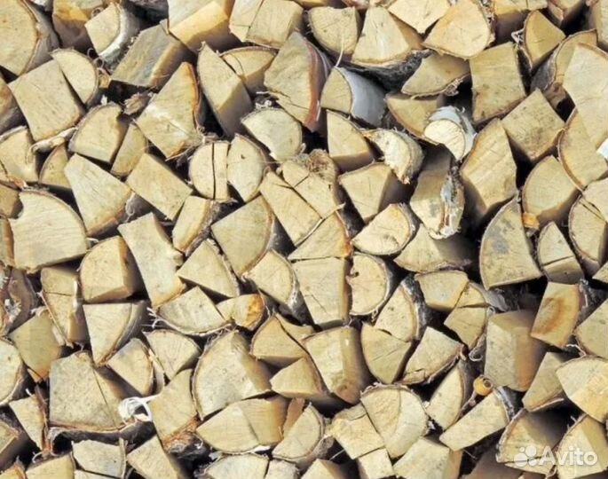 Дрова береза