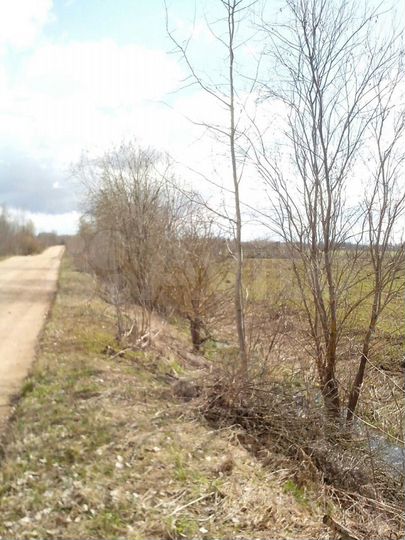 Участок 7 га (СНТ, ДНП)