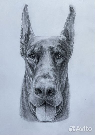 Портрет питомца