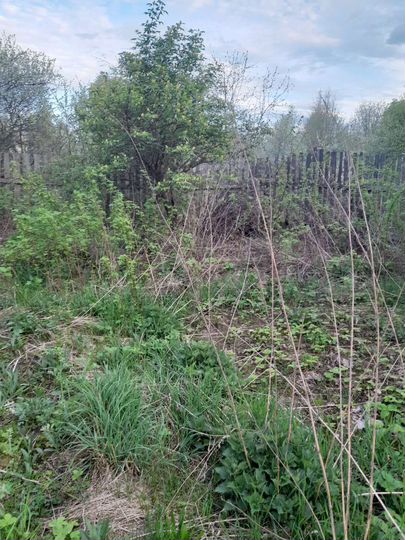 Участок 11 сот. (ИЖС)